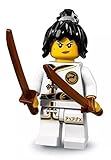 Cada minifigura se vende con uno o más accesorios, una placa de exposición y un folleto de coleccionista.Incluye 2 versiones de Lloyd, 3 versiones de Garmadon y las nuevas versiones de Nya y de Kai.