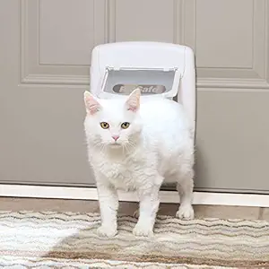 PetSafe 4-Way Locking Cat Door, Exterior/Interior, White