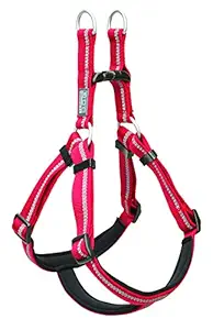 Terrain D.O.G. Reflective Neoprene Lined Harness