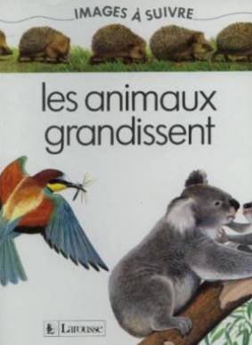couverture de : Les animaux grandissent