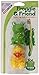 Mommy's Helper Frog and Duck Toothbrush Holder (Pack of 2)