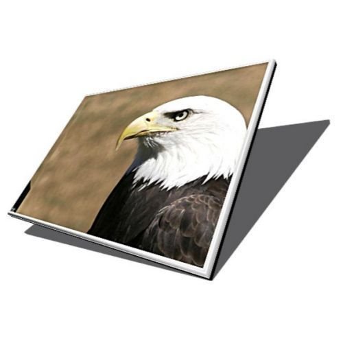 AUO Laptop Screen  15 6  Wide  1366 x 768  WXGA   Glossy  LED  40-pin  Rear Bottom Right Connector