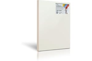 TIME HOME DEVELOPMENT Toile synthétique à peindre avec cadre épais - grande variété de tailles (80x110cm), blanc