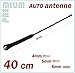 Produktbild - CITROEN - KFZ Antennenstab INION® Universal 40cm Stab Antenne mit M4 M5 M6 Gewinde - BERLINGO - C1 - C2 - C3 Picasso - C4 - C5 - C6 - JUMPER - SAXO - XANTIA - XSARA ------ Radio UKW / FM - Dachantenne