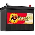 068 EFB Banner Running Bull Car Battery (57015)
