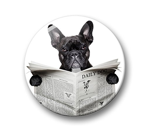 Französische Bulldogge Porträt – 6 große Kühlschrankmagnete Ø 5 cm [ 04 ] - 5