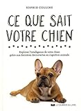 Ce que sait votre chien : Explorez l'intelligence de votre chien grâce aux dernières découvertes en cognition animale
