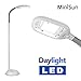 Produktbild MiniSun – Moderne und einstellbare Stehlampe mit einem grauen Finish und hellen und kaltweißen LED-Leuchten fürs Lesen [6500k] – Stehleuchte