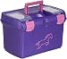 Produktbild United Sportproducts Germany USG 16000001-535 Putzbox, metallic violett/ fuchsia Beschlge
