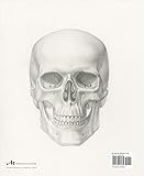 Image de Basic Human Anatomy: An Essential Visual Guide for Artists