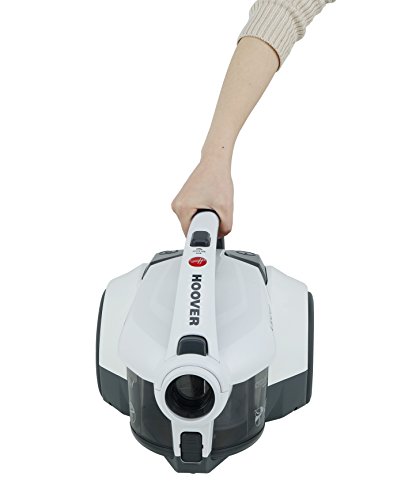 Hoover Lander LA10 Aspirador sin Bolsa, Ciclónico, Cepillo para Suelos  Duros y alfombras, Polvo, Accesorio rincones, 700… – Regalos para Gatos