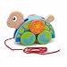 Viga Wooden Pull-Along Turtle
