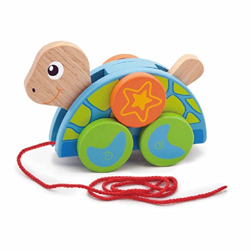 Viga Wooden Pull-Along Turtle