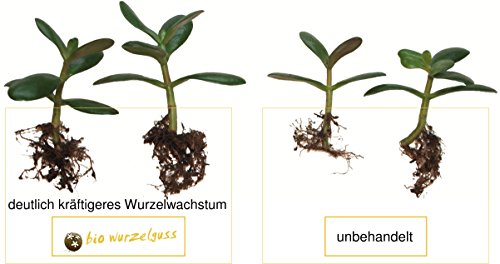 bio-wurzelguss, Tee für Pflanzen - 7
