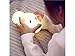 Price comparison product image Desktop Light LED Night Lights Cute Dog Touch Sensor Bedside Lamps Adjustable Brightness USB Rechargeable Timer Function Night Lamp Gifts Decorative Lamp