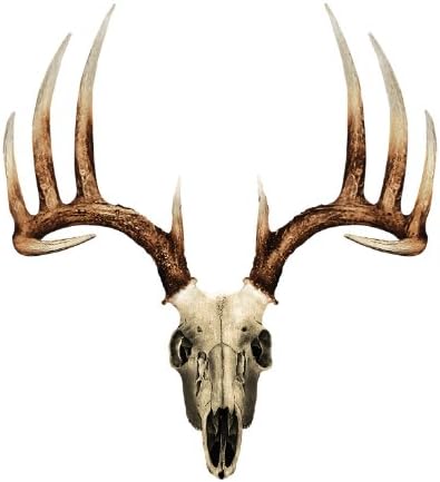 Skull Series Whitetail Typical Decal