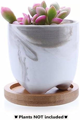 T4U 6cm Ice Cream Serial Modern Succulent Cactus Plant Pots Flower Pots Planters Containers Window Boxes Grey with Bamboo Trays NO.1