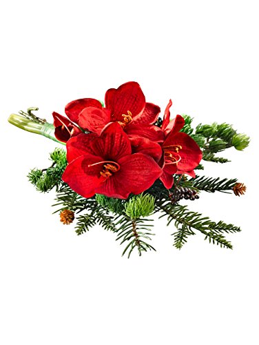 Preisvergleich Produktbild Unisex Gesteck Amaryllis by IGEA