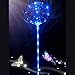 Produktbild TAOtTAO LED-Leuchtlaternenballon mit Röhrenglühballon Wiederverwendbare leuchtende geführte Ballon-transparente runde Blasen-Dekorations-Party-Hochzeit (A, 1 pcs)