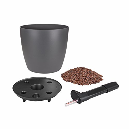 elho Brussels Rund Rollen All-in-One Blumentopf 35cm – Anthrazit - 4