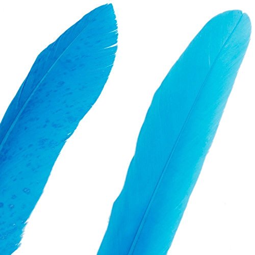 TININNA Echte Naturfedern Gänsefedern Gans Federn Schmuckfedern 4-6 Zoll Länge für Hochzeit Party Dekor - 3