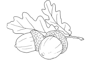 AZEEDA A8 'Acorn & Leaves' Unmounted Rubber Stamp (RS00039091)