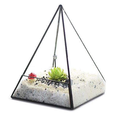Ultra 14x14x18.5cm Premium Qualität Glas Terrarium Dreieck mit einem Cut-off Rand ideal für Moos und Pflanzen oder Dekorationen (14 x 14 x 18.) - 4