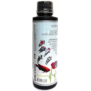 Aquatic Remedies AQUATIC REMEDIES Lagoon Aqua Bactonil -Freshwater Aquarium Medicine (60 ml), 60 milliL, (Model: Aqua Bactonil 60 ml), White