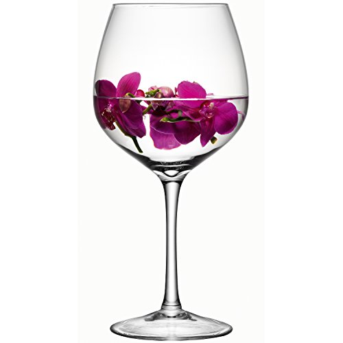LSA International Midi Verre à vin géant 3,8 l LSA International Midi Verre à vin géant 3,8 l