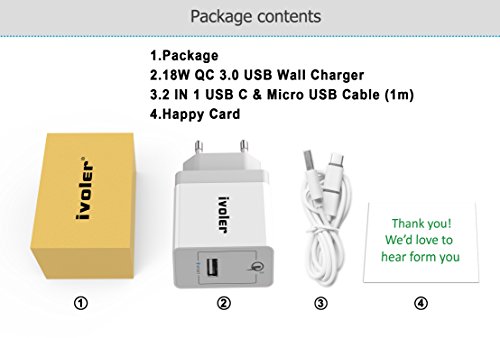 iVoler Quick Charge 3.0 Type C 18W Caricabatteria USB da Muro con Cavo 2 in 1 Tipo C e Micro USB Cavo Ricarica per Samsung Galaxy S9/S9 Plus/S8/S8+/S7/S7 Edge/ S6/S6 Edge/+/Note 8/5/4/Edge, LG G6/G5/G4, Asus Zenfone 4/3/2, Android Smartphone, Tablet, iPhone, iPad, e gli altri dispositivi USB (Bianco)