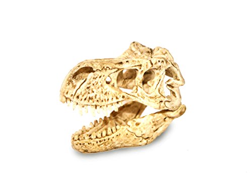 Preisvergleich Produktbild T-Rex Schädel Knochen Schleich