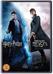 Wizarding World 10 Movies Collection: Harry Potter 1 to 8 + Fantastic Beasts 1 & 2 (10-Disc Box Set)