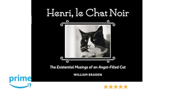 Amazonfr Henri Le Chat Noir The Existential Musings Of