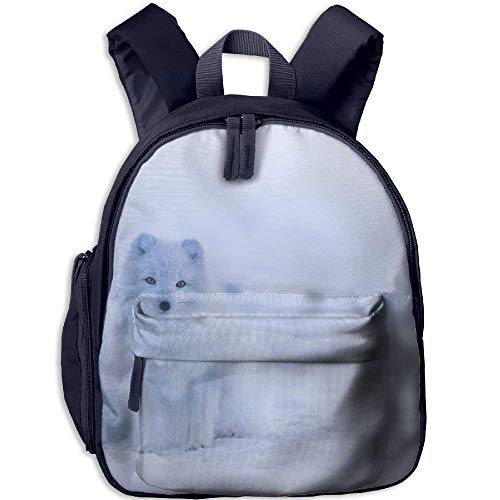 arctic fox school bags price