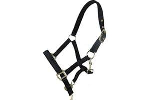 BOW & ARROW EQUESTRIAN Best On Horse Headcollar Halter - Equestrian Padded Pony Cob Classic Nylon Headcollar with Adjustable Buckle Closure - Outdoor Horse Riding Equipment�