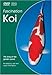 Produktbild Faszination Koi - Der König des Gartenteichs
