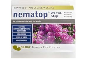 Nematop vine weevil trap (1)