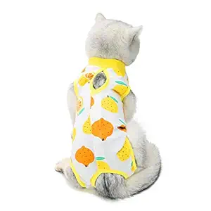 TORJOY Kitten Recovery Suit Spay,Cat Recovery Suit for Abdominal Wounds or Skin Diseases,E-Collar Alternative for Cats Dogs, After Surgey Wear, Recommended by Vets (M (6-8 1bs), Lemon)