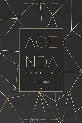 Télécharger Agenda Familial 2019 2020: Agenda de poche et Calendrier familial 2019 2020 pour 4 membres de la fam Francais PDF