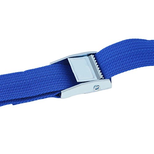 10 Stück 3 meter Spanngurte Zurrgurte extra Breit blau mit Klemmschloss Schnellspannung 250 daN (10) - 5