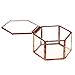 Produktbild P Prettyia Hochzeit Mini Terrarium Glas kupfer Schmuck Ring Box Sukkulente Home Dekoration