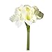 Produktbild Amaryllis 66cm creme
