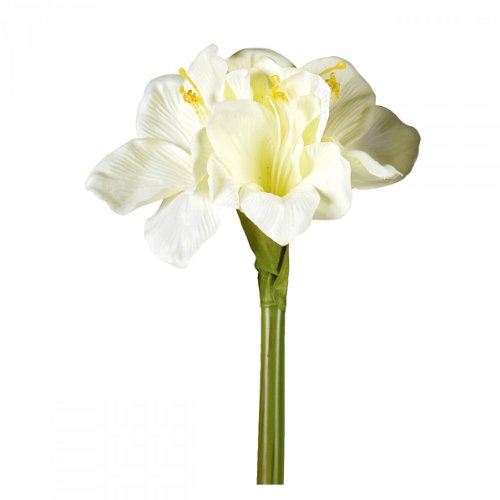 Preisvergleich Produktbild Amaryllis 66cm creme