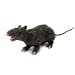 Produktbild EUROPALMS Lebensechte Ratte mit braunem Fell | 30 cm Länge | Dekoration für ihre Halloween-Party