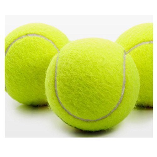 3x Westeng Lacrosse Ball Massage Mobilität Rehabilitation Physiotherapie - 6