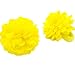 Chelsea Jones - 2 x Girls Bright Yellow Hair Flower Ponios/ Elastics/ Bobbles - 7 cm