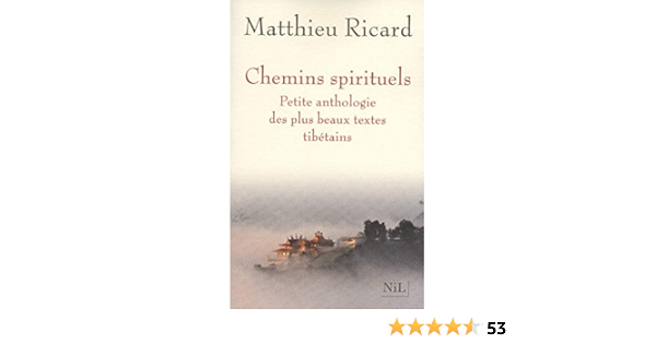 Amazon Fr Chemins Spirituels Ricard Matthieu Livres