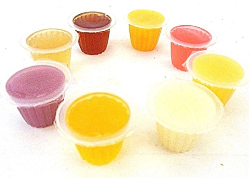 Fruit Jelly - Macetas para reptiles y lagartos (geckos, loros de pájaros y galletas)