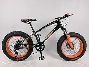 Fat Bike for Kids 20 * 4.00 Dual disc with 7 Speed Gears