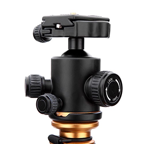 Andoer® QZSD Q999C Trípode Monopie de Cámara Profesional de Fibra de Carbono Portable Cambiable Desmontable de Viaje para Videocámara Sony DSLR Cámara SLR